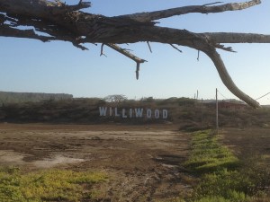 williwood curacao