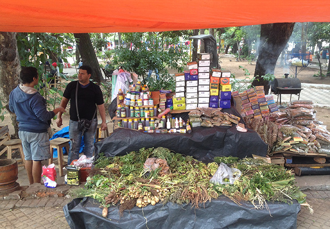central plaza in asuncion