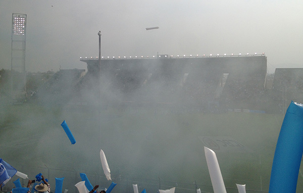 pumas versus springboks rugby game