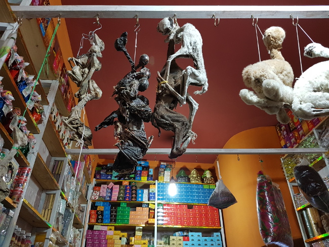 llama foetus in witches market