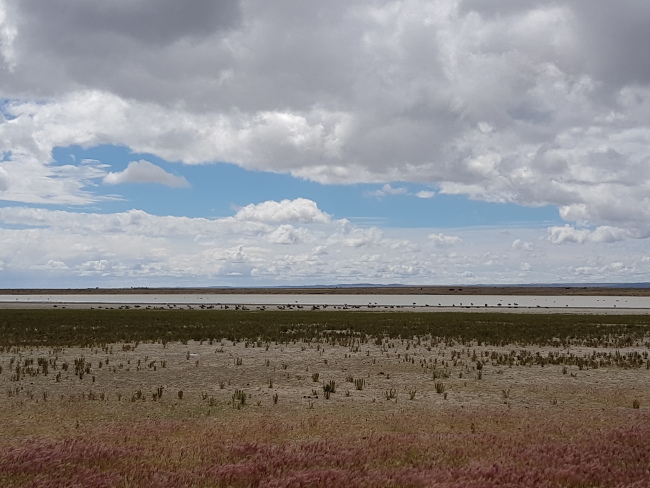 patagonia flat landscape